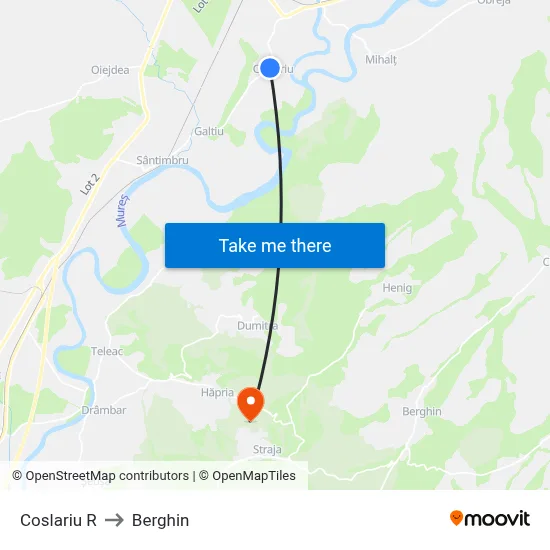 Coslariu R to Berghin map