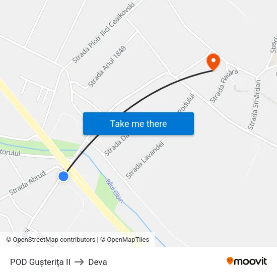 POD Gușterița II to Deva map