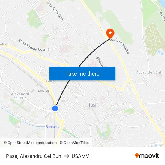 Pasaj Alexandru Cel Bun to USAMV map