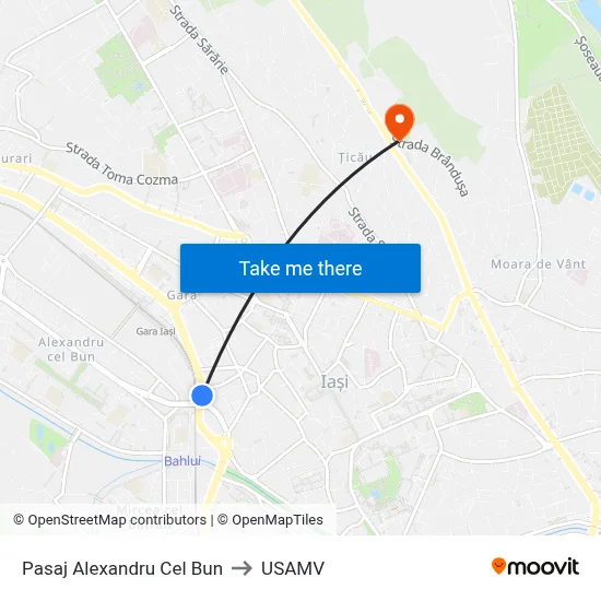 Pasaj Alexandru Cel Bun to USAMV map