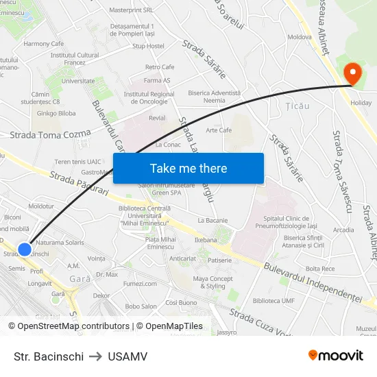 Str. Bacinschi to USAMV map