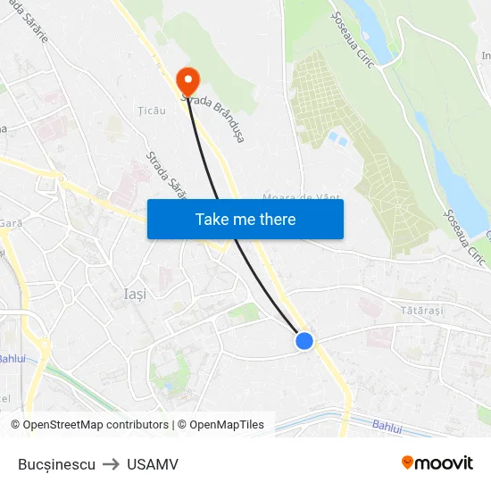 Bucșinescu to USAMV map