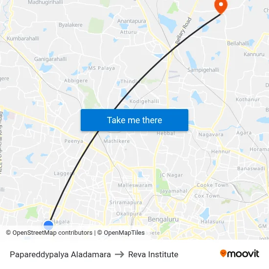Papareddypalya Aladamara to Reva Institute map