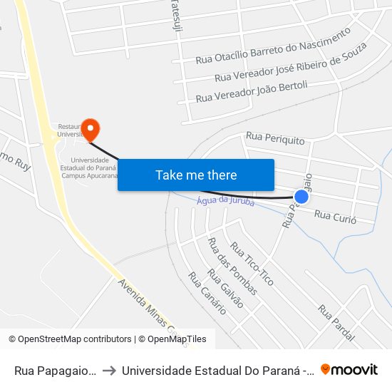 Rua Papagaio, 164-220 to Universidade Estadual Do Paraná - Campus Apucarana map