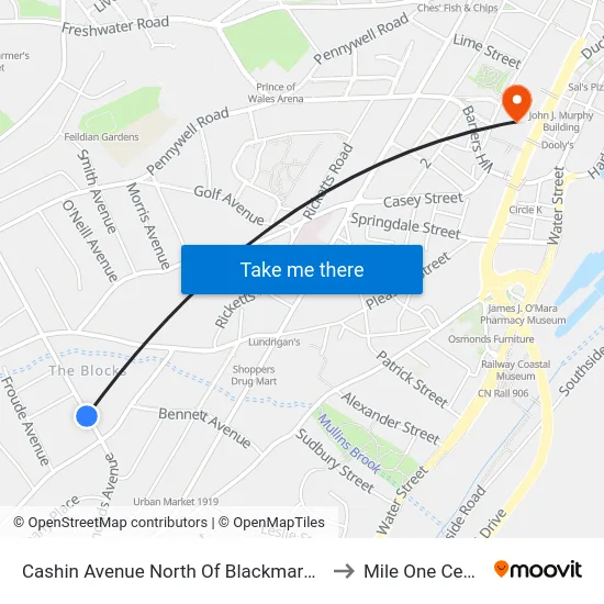 Cashin Avenue North Of Blackmarsh Rd to Mile One Centre map