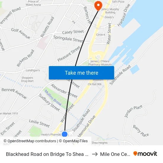 Blackhead Road on Bridge To Shea Heights to Mile One Centre map