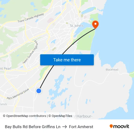 Bay Bulls Rd Before Griffins Ln to Fort Amherst map