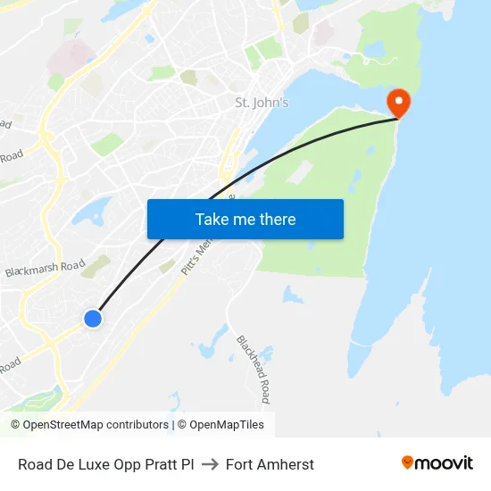 Road De Luxe Opp Pratt Pl to Fort Amherst map