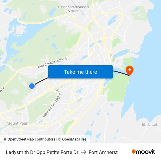 Ladysmith Dr Opp Petite Forte Dr to Fort Amherst map