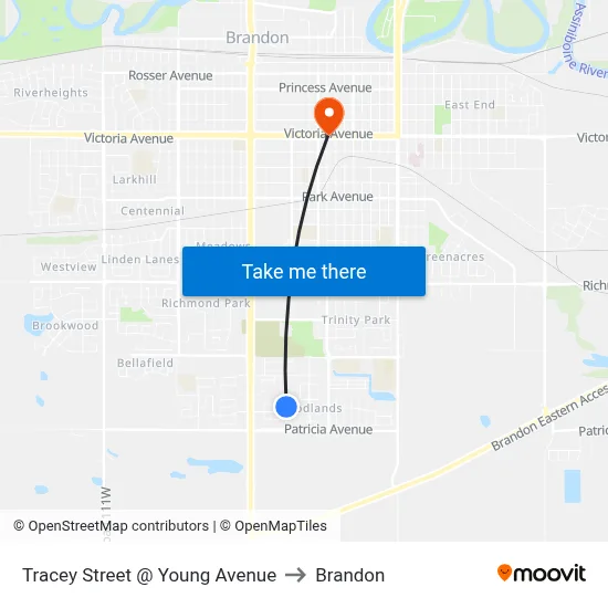 Tracey Street @ Young Avenue to Brandon map