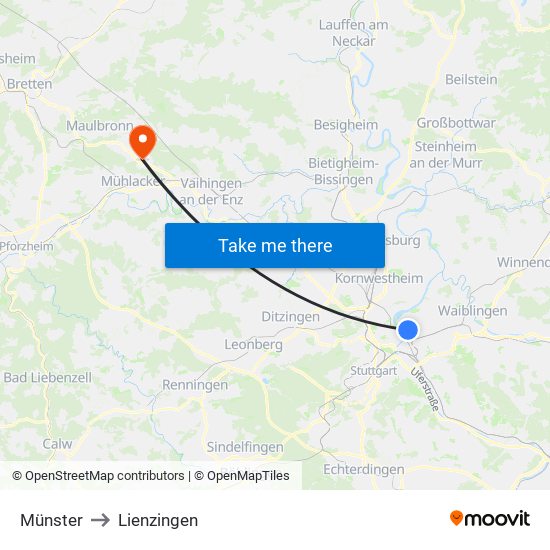 Münster to Lienzingen map