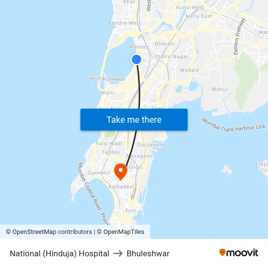 National (Hinduja) Hospital to Bhuleshwar map
