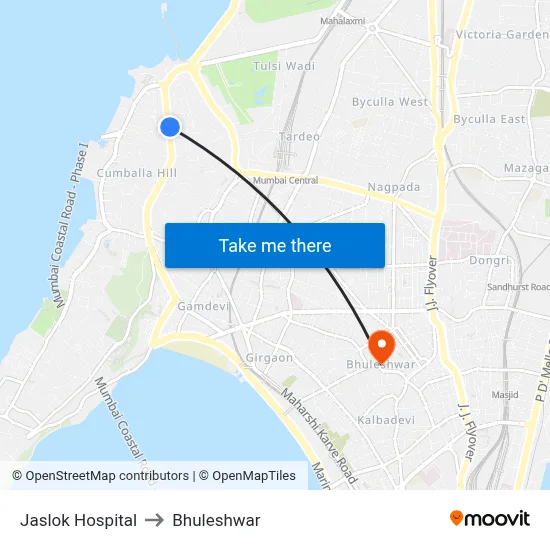 Jaslok Hospital to Bhuleshwar map