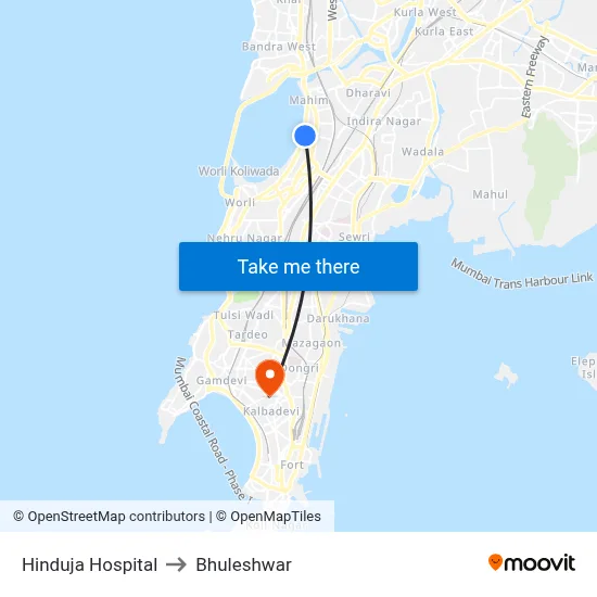 Hinduja Hospital to Bhuleshwar map
