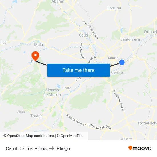 Carril De Los Pinos to Pliego map