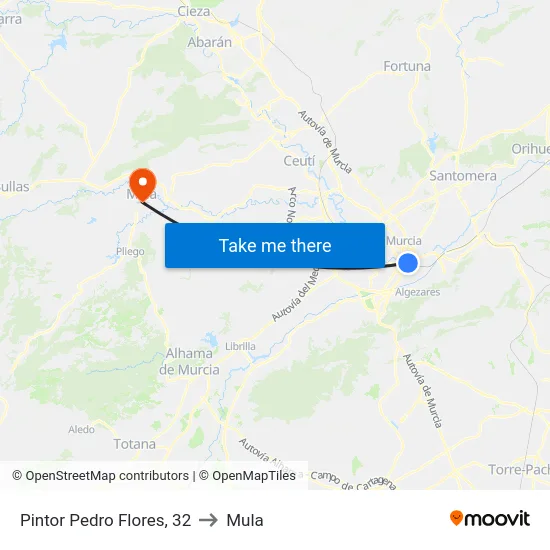 Pintor Pedro Flores, 32 to Mula map