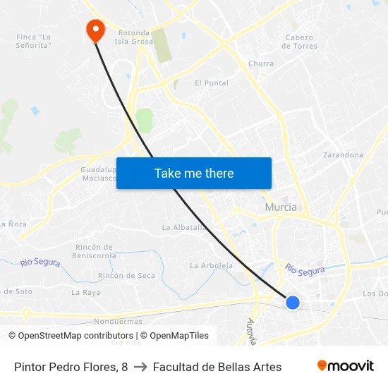 Pintor Pedro Flores, 8 to Facultad de Bellas Artes map