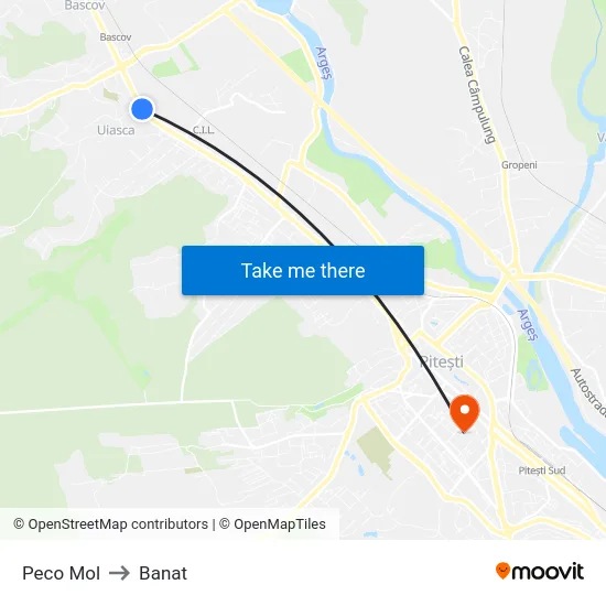 Harta de Peco Mol către Banat