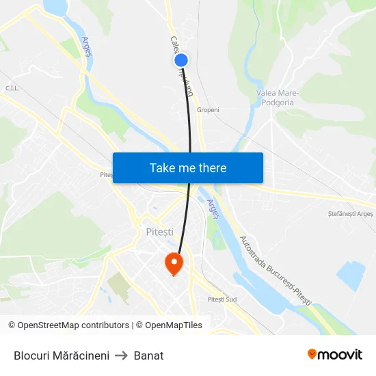 Blocuri Mărăcineni to Banat map