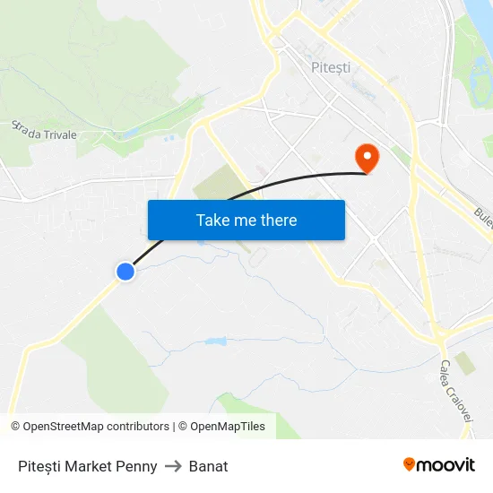 Pitești Market Penny to Banat map
