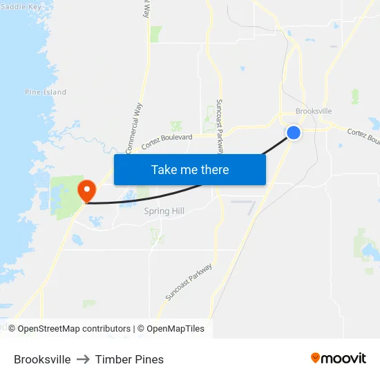 Brooksville to Timber Pines map