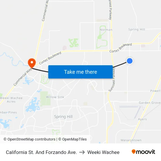 California St. And Forzando Ave. to Weeki Wachee map
