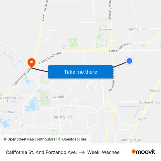 California St. And Forzando Ave. to Weeki Wachee map