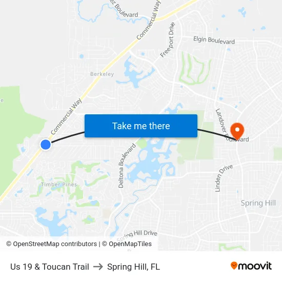 Us 19  & Toucan Trail to Spring Hill, FL map