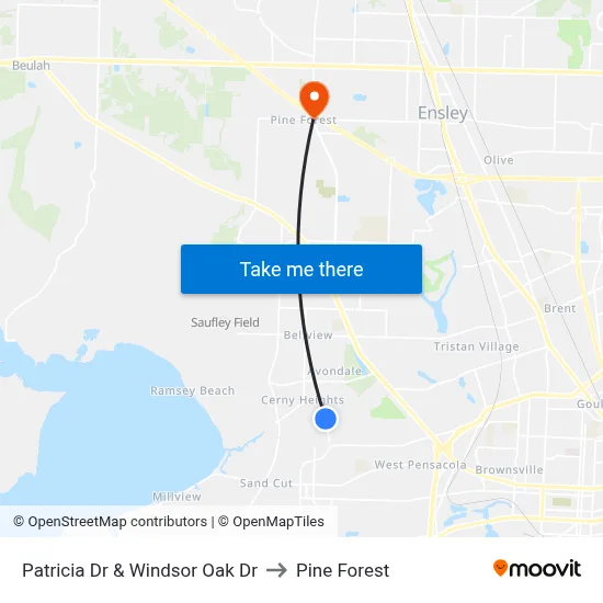 Patricia Dr & Windsor Oak Dr to Pine Forest map