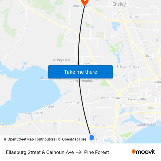 Eliasburg Street & Calhoun Ave to Pine Forest map