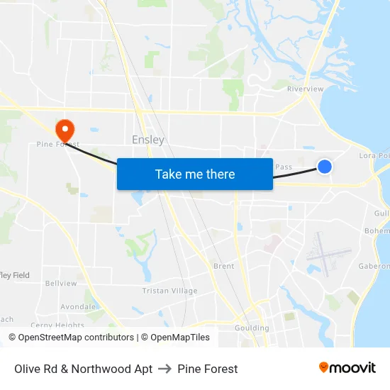 Olive Rd & Northwood Apt to Pine Forest map