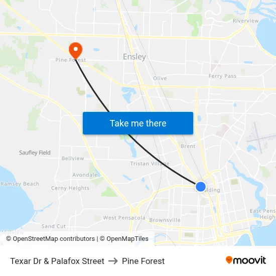 Texar Dr & Palafox Street to Pine Forest map