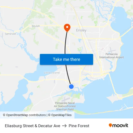 Eliasburg Street & Decatur Ave to Pine Forest map