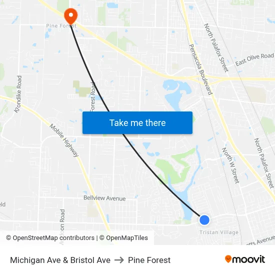 Michigan Ave & Bristol Ave to Pine Forest map