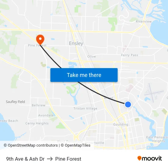 9th Ave & Ash Dr to Pine Forest map