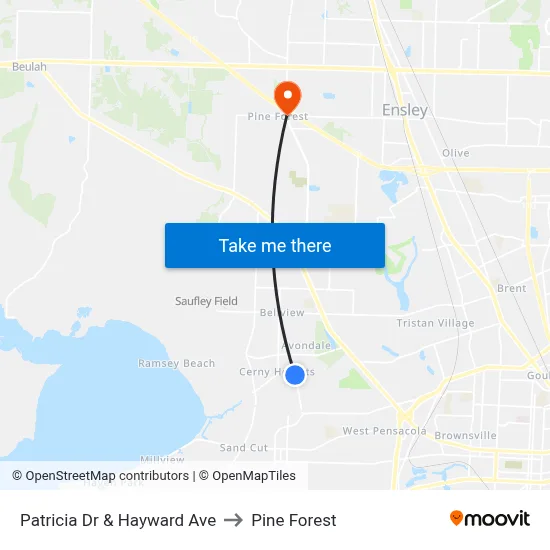 Patricia Dr & Hayward Ave to Pine Forest map