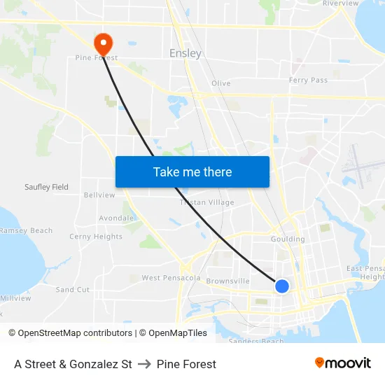 A Street & Gonzalez St to Pine Forest map
