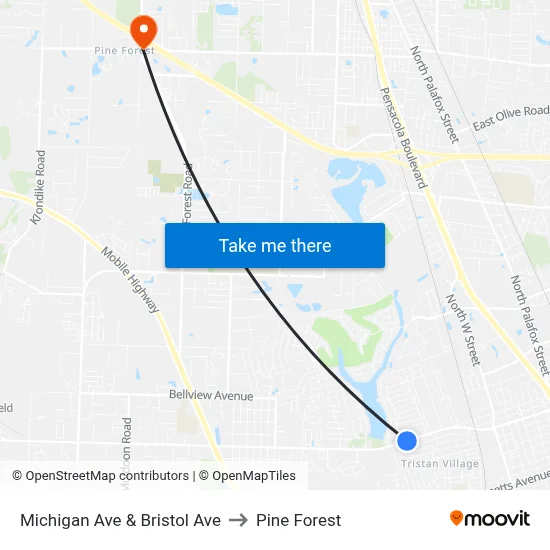 Michigan Ave & Bristol Ave to Pine Forest map