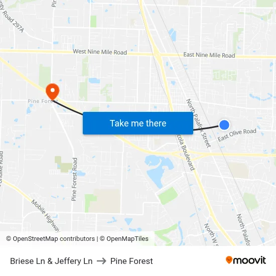 Briese Ln & Jeffery Ln to Pine Forest map