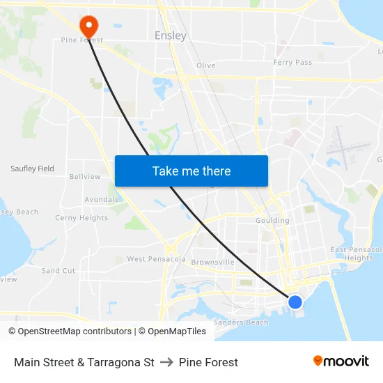Main Street & Tarragona St to Pine Forest map