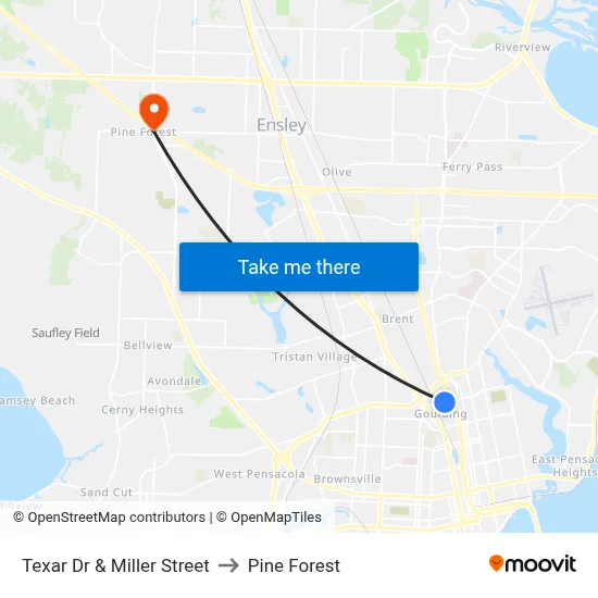 Texar Dr & Miller Street to Pine Forest map