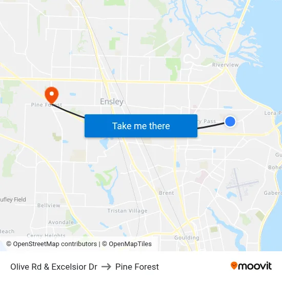 Olive Rd & Excelsior Dr to Pine Forest map