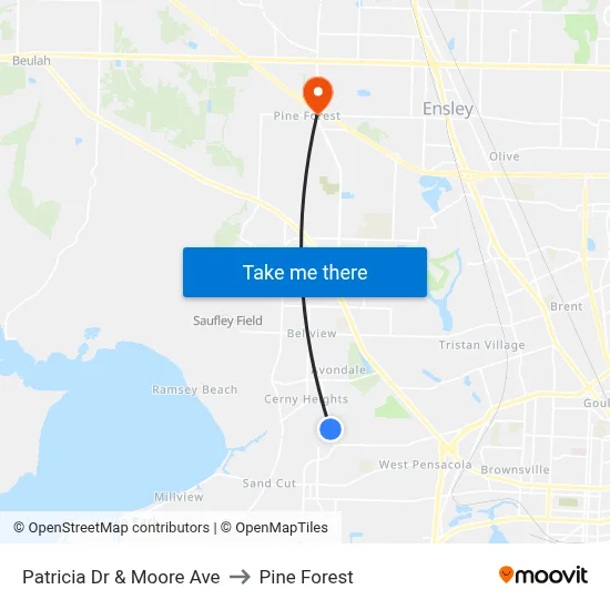 Patricia Dr & Moore Ave to Pine Forest map