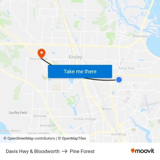Davis Hwy & Bloodworth to Pine Forest map