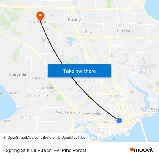 Spring St & La Rua St to Pine Forest map