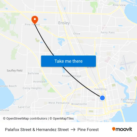 Palafox Street & Hernandez Street to Pine Forest map