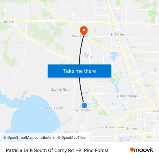 Patricia Dr & South Of Cerny Rd to Pine Forest map