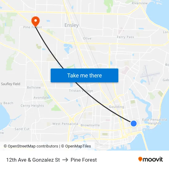 12th Ave & Gonzalez St to Pine Forest map