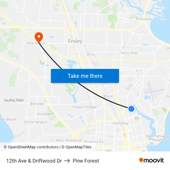 12th Ave & Driftwood Dr to Pine Forest map