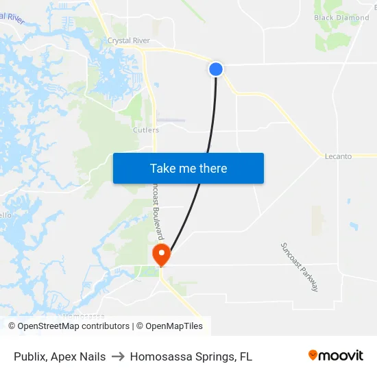 Publix, Apex Nails to Homosassa Springs, FL map